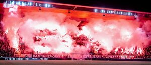 Slávističtí fandové se již na novou posilu těší