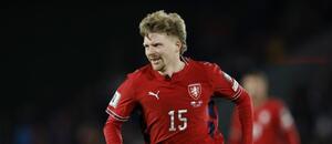 Pavel Šulc během utkání Česka s Dánskem