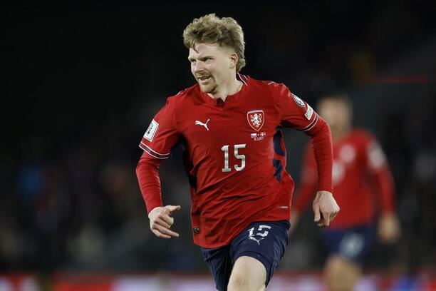 Pavel Šulc během utkání Česka s&nbsp;Dánskem